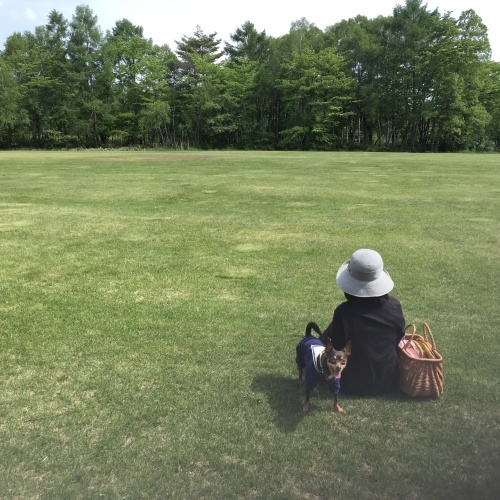 a0291132_21025132.jpeg