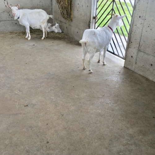 a0291132_21055990.jpeg
