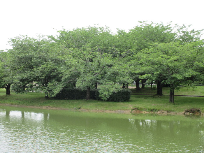 b0014732_13211138.jpg