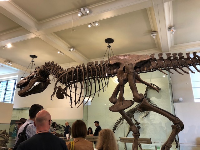 f0332332_21155231.jpg