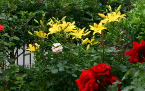 b0197433_09402561.jpg