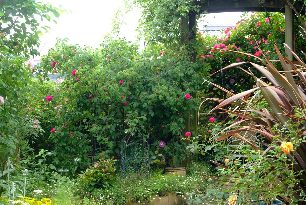 b0075541_13363741.jpg