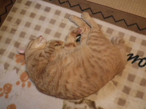d0358843_01563204.jpg