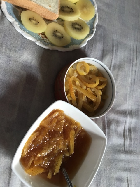 e0195345_08463850.jpeg