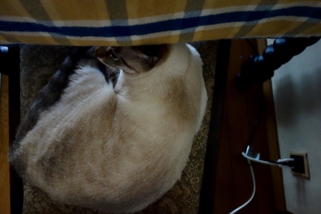 d0101846_07212175.jpeg