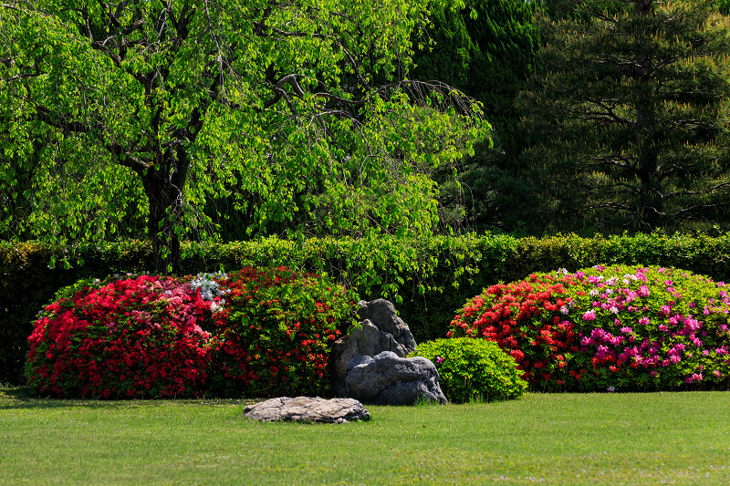 ツツジと春の花咲く城南宮_f0155048_2223141.jpg