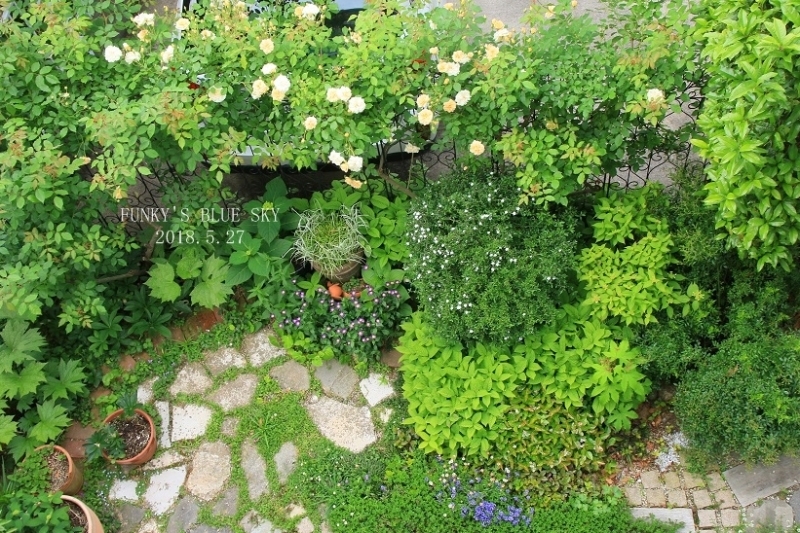 c0145250_11292831.jpg