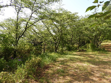 e0172950_2175086.jpg