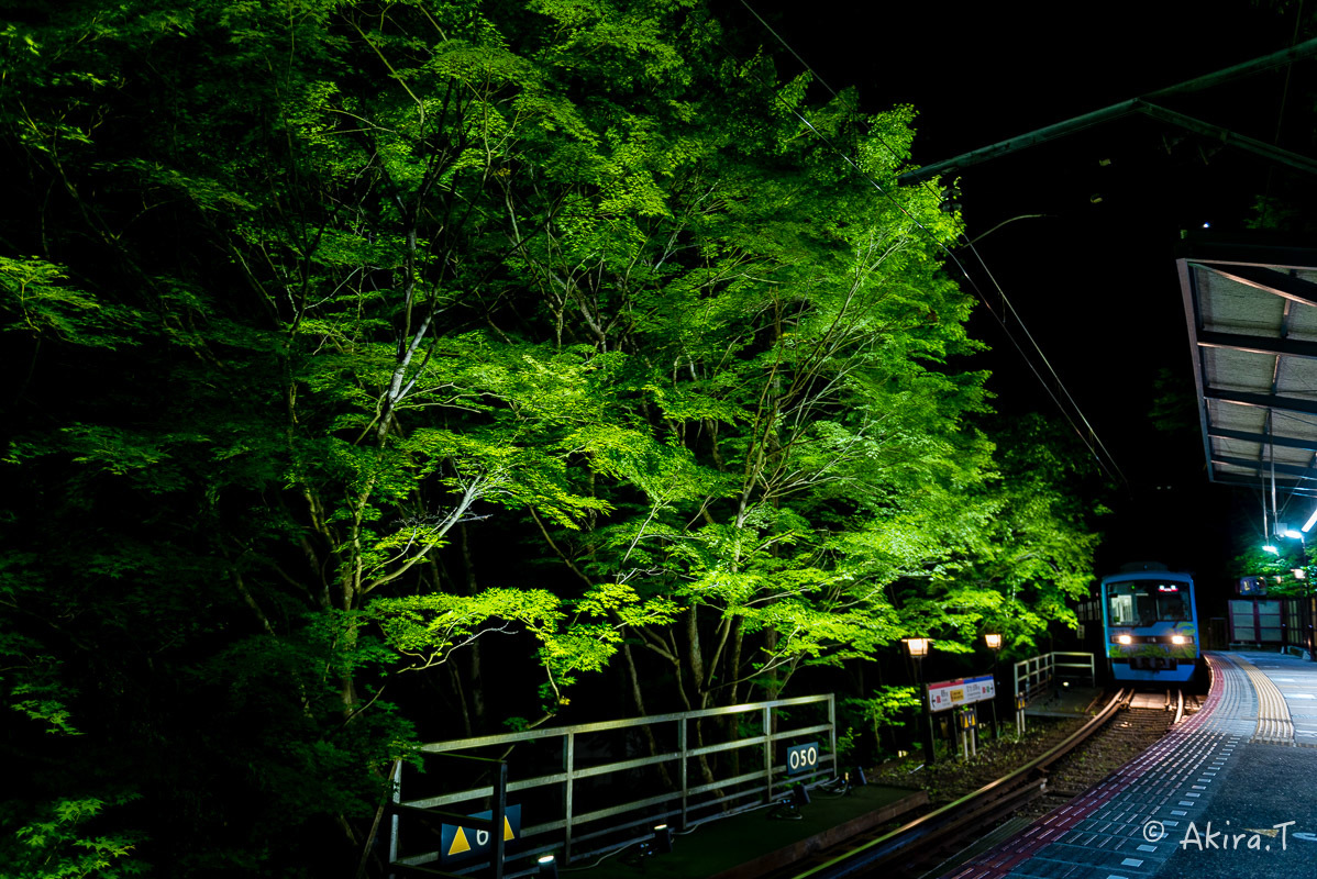 f0152550_22070737.jpg