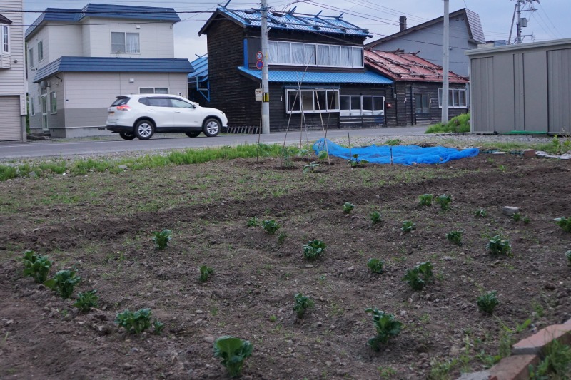 e0011951_19203721.jpg