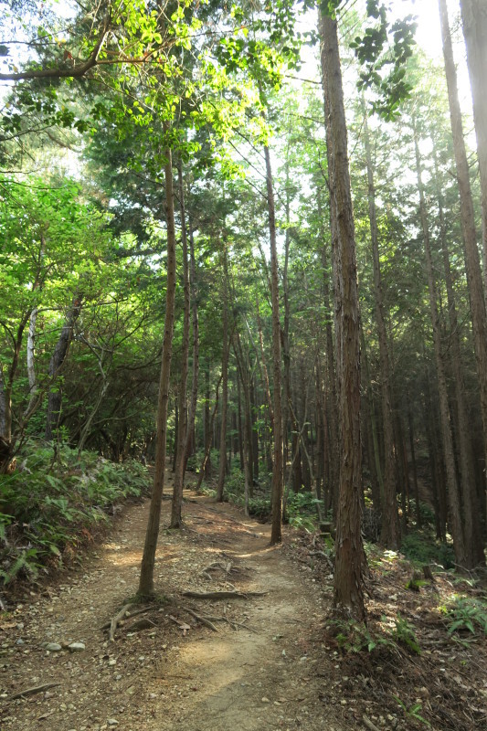 e0348754_07581551.jpg