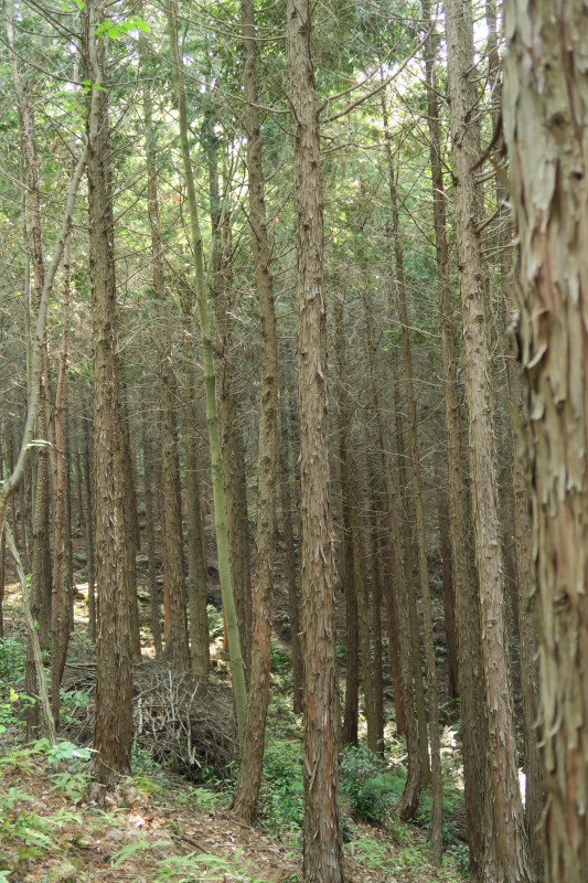 e0348754_08004788.jpg