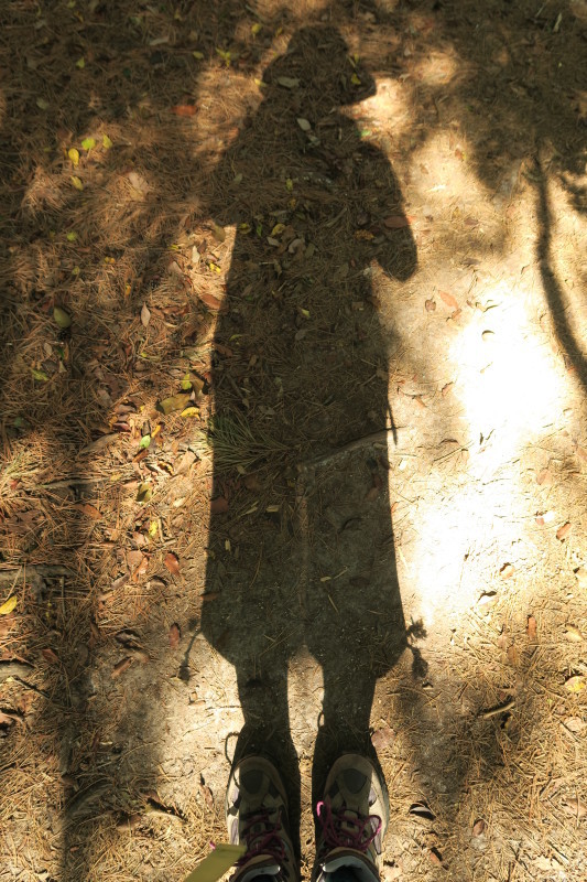 e0348754_08011467.jpg