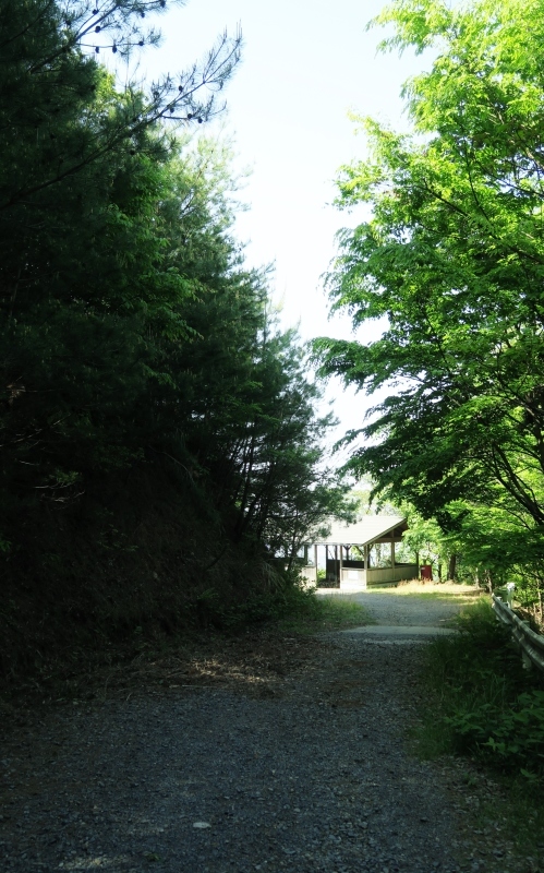 e0348754_08034545.jpg