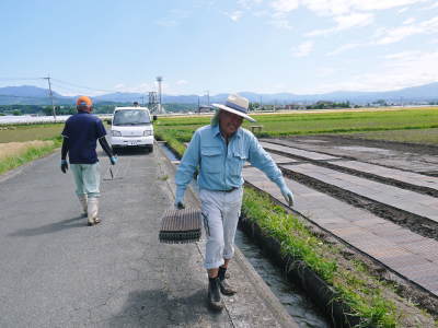 無農薬にこだわる「健康農園」さんの平成30年の米作りスタート!まずは苗床を現地取材!_a0254656_17313594.jpg
