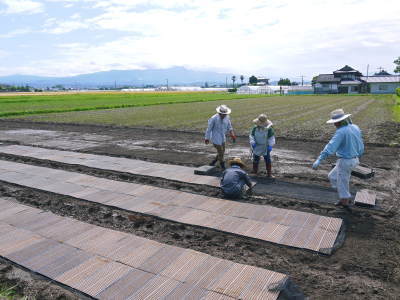 無農薬にこだわる「健康農園」さんの平成30年の米作りスタート！まずは苗床を現地取材！_a0254656_17332159.jpg