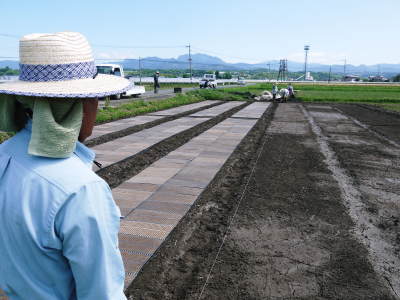 無農薬にこだわる「健康農園」さんの平成30年の米作りスタート！まずは苗床を現地取材！_a0254656_17410324.jpg