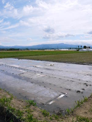 無農薬にこだわる「健康農園」さんの平成30年の米作りスタート!まずは苗床を現地取材!_a0254656_18055219.jpg