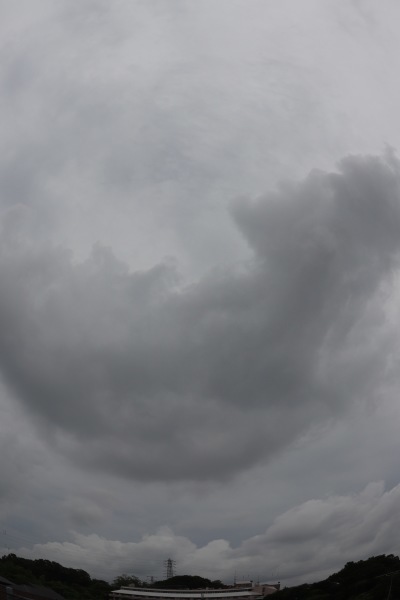 a0248459_14164332.jpg