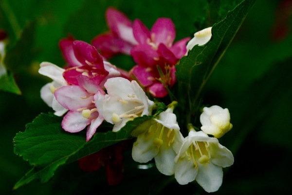 a0248459_14203410.jpg