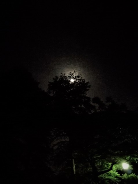 b0019960_18534867.jpg