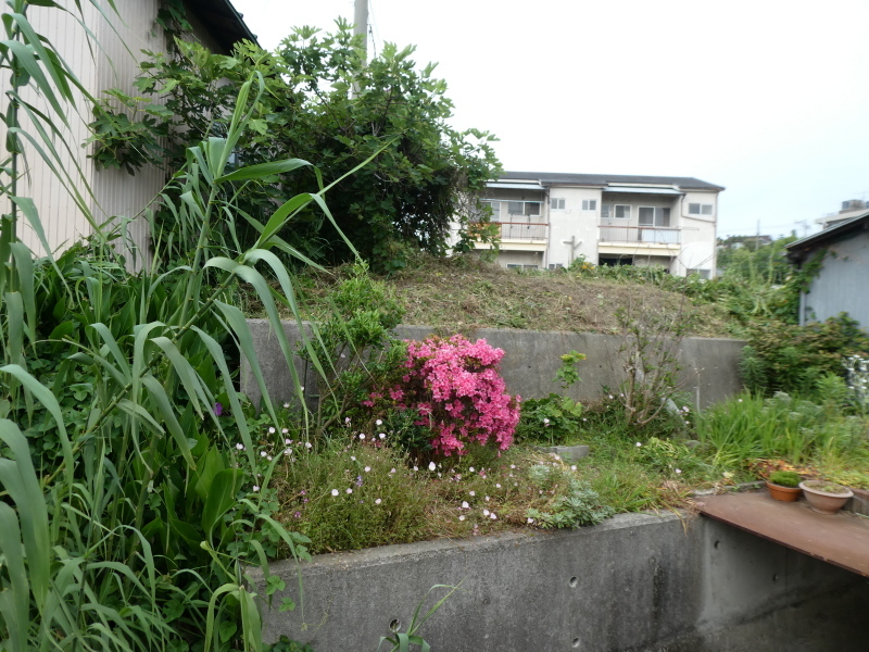c0108460_17315330.jpg