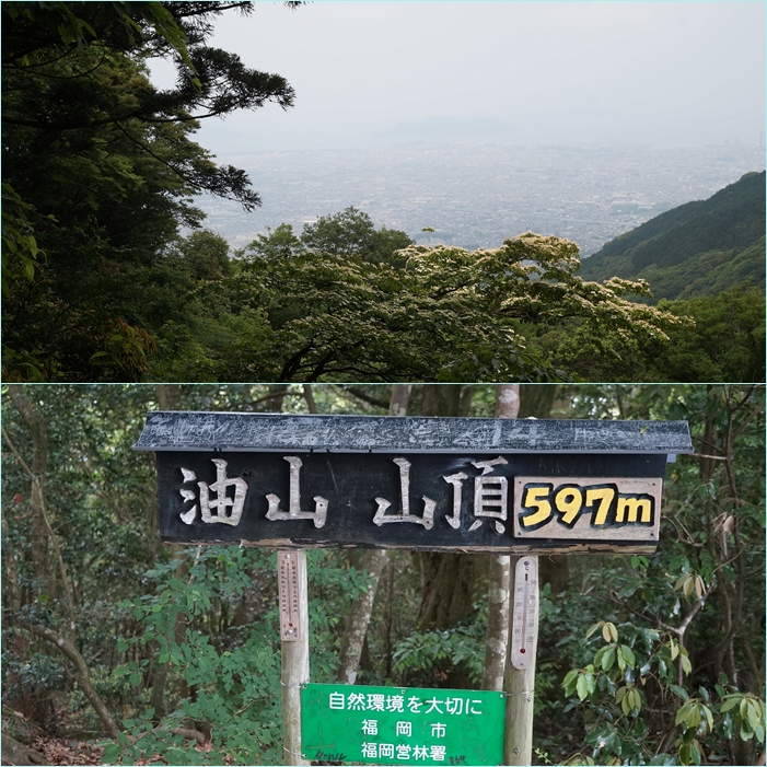 油山登山。_f0016066_19331678.jpg