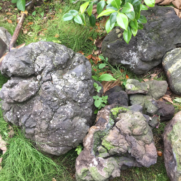 庭をつくる。_f0325671_16321868.jpg