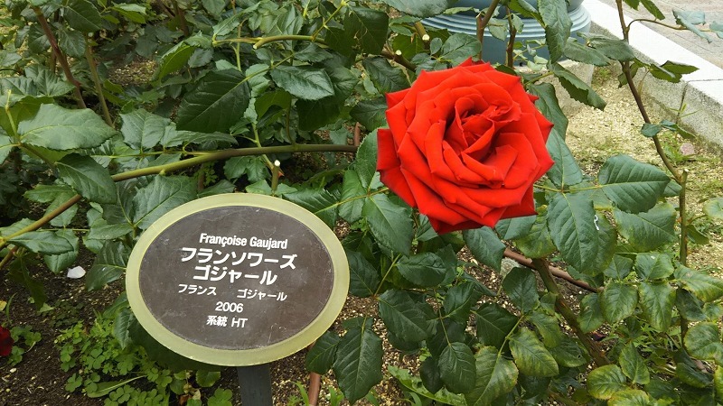 a0152774_09191740.jpg