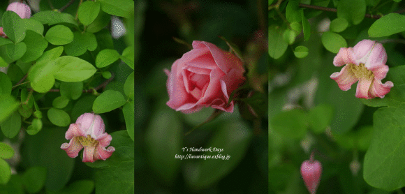 f0330978_13110943.gif