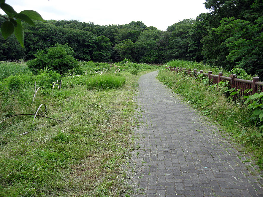 2018年5月29日30日　堰堤草刈り_a0243381_18545499.jpg