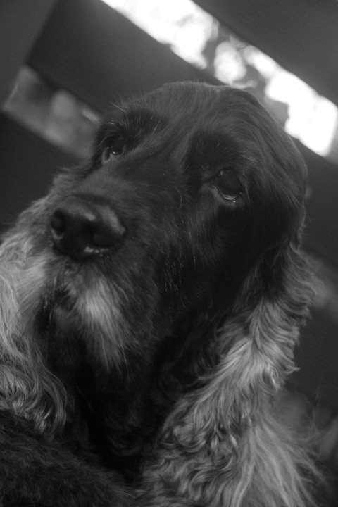 b0096881_16201471.jpeg