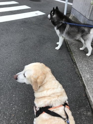 f0315081_22073002.jpeg
