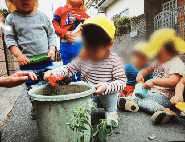 野菜の収穫など。保育の様子♪ ホールクラス_c0293682_21193118.gif
