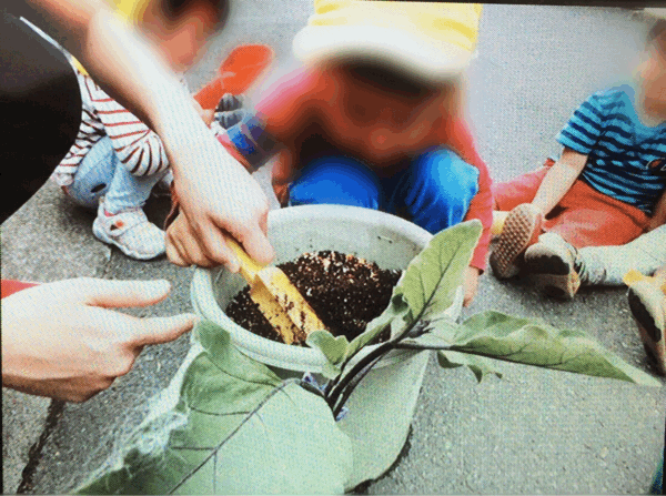 野菜の収穫など。保育の様子♪ ホールクラス_c0293682_21194934.gif