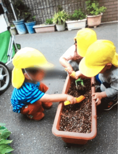 野菜の収穫など。保育の様子♪ ホールクラス_c0293682_21204721.gif