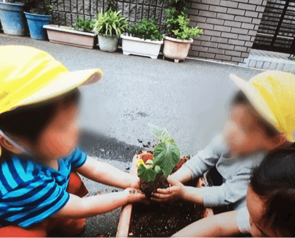 野菜の収穫など。保育の様子♪ ホールクラス_c0293682_21211673.gif