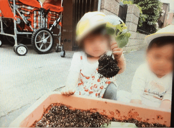 野菜の収穫など。保育の様子♪ ホールクラス_c0293682_21214667.gif