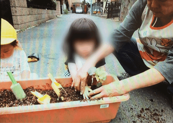 野菜の収穫など。保育の様子♪ ホールクラス_c0293682_21224196.gif