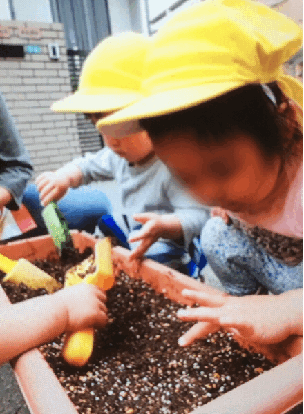 野菜の収穫など。保育の様子♪ ホールクラス_c0293682_21235140.gif