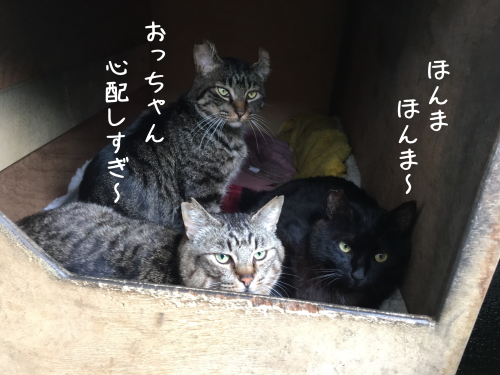 a0216583_16021473.png