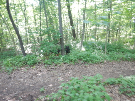 c0253487_00442983.jpg