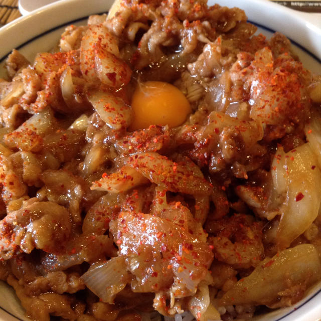 豚丼はこれで打ち止め、牛丼へ向かいます_a0334793_18245170.jpg