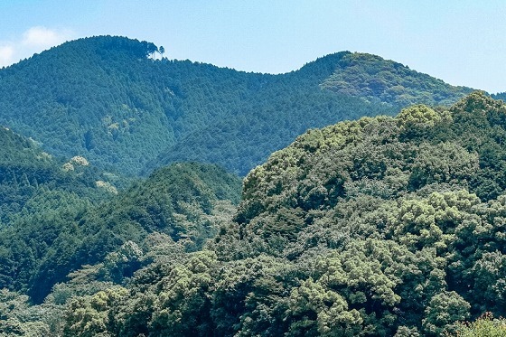 e0176993_06275796.jpg
