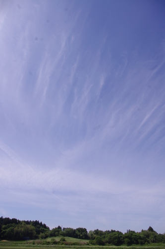 c0337494_17180794.jpg