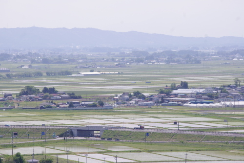 c0337494_17201358.jpg