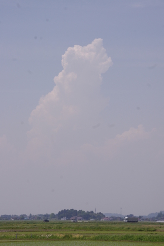 c0337494_17263631.jpg
