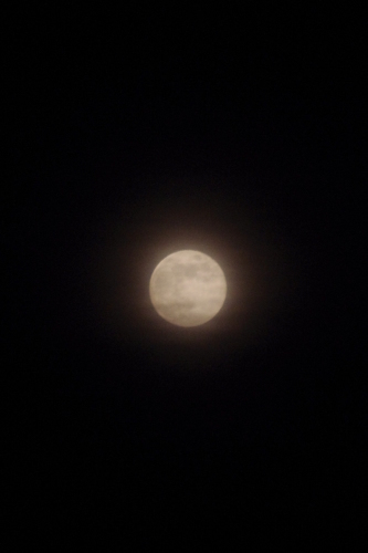 c0337494_17265799.jpg