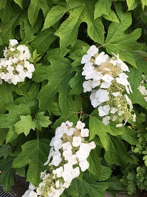f0372998_22462013.jpg