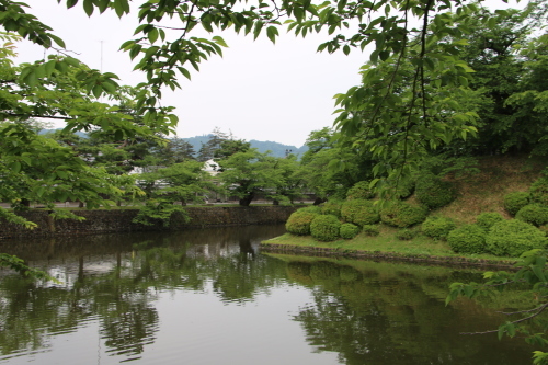 松が岬公園の朝　２０１８．５．３１_c0075701_09022167.jpg